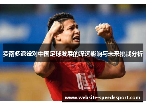 费南多退役对中国足球发展的深远影响与未来挑战分析