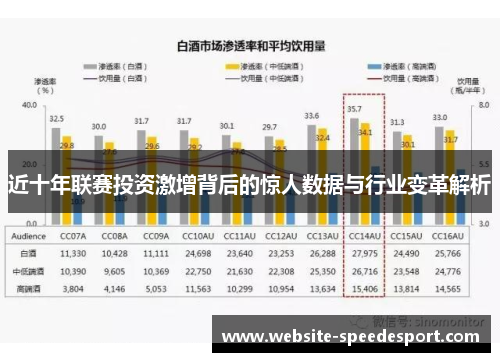近十年联赛投资激增背后的惊人数据与行业变革解析